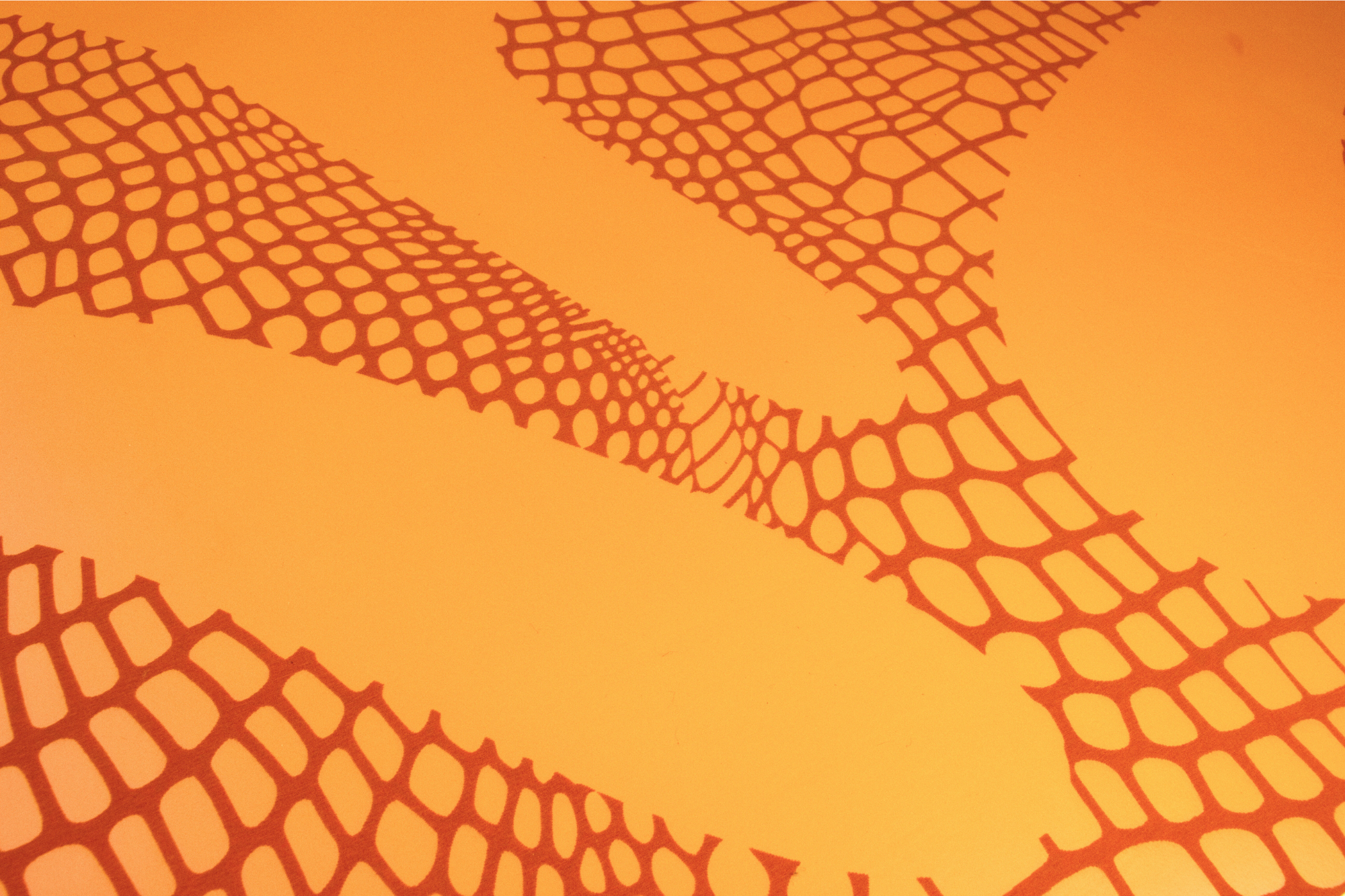 Kin orange Yoga mat PRO animal print