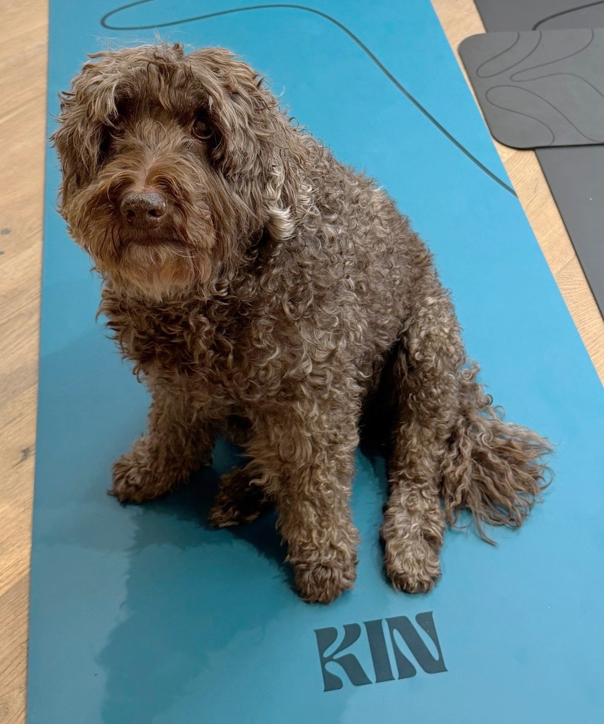 Kin Yoga Mats PRO Mat - Blue Kurve